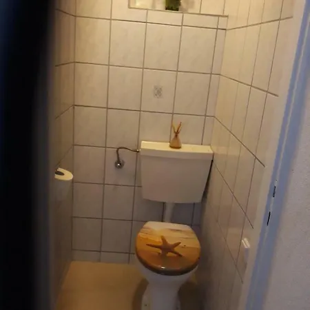 Apatmani Peternel * ויר