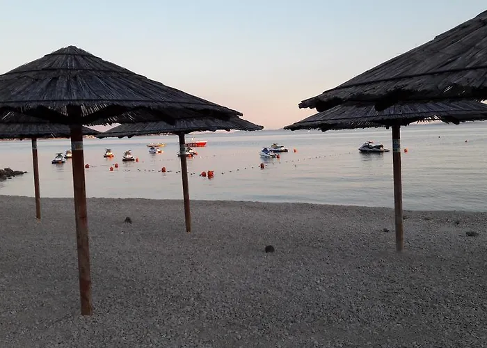 Apatmani Peternel 비르