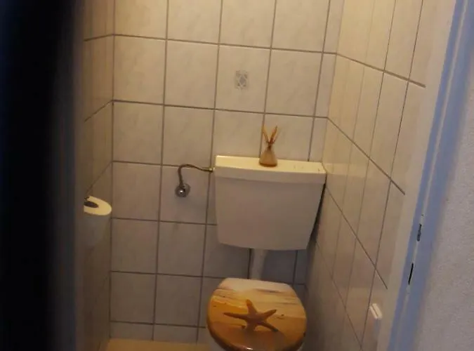 Apatmani Peternel * 비르